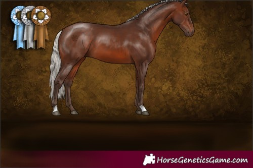 Horse Color:Silver Brown 