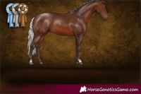 Horse Color:Silver Brown