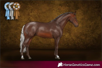 Horse Color:Silver Brown 