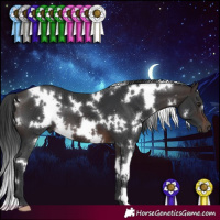 Horse Color:White Spotted Brown 