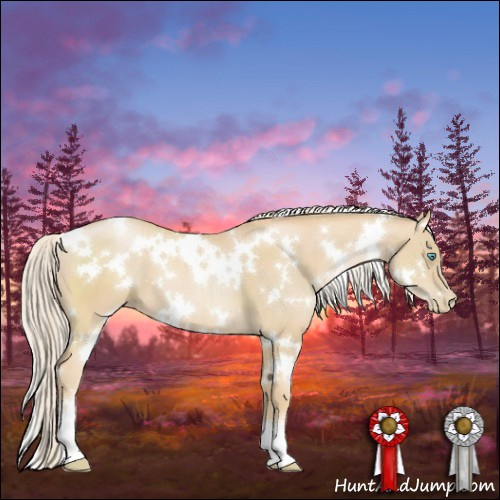 Horse Color:White Spotted Palomino Pearl 