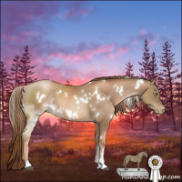 Horse Color:White Spotted Liver Chestnut Pearl Sabino 
