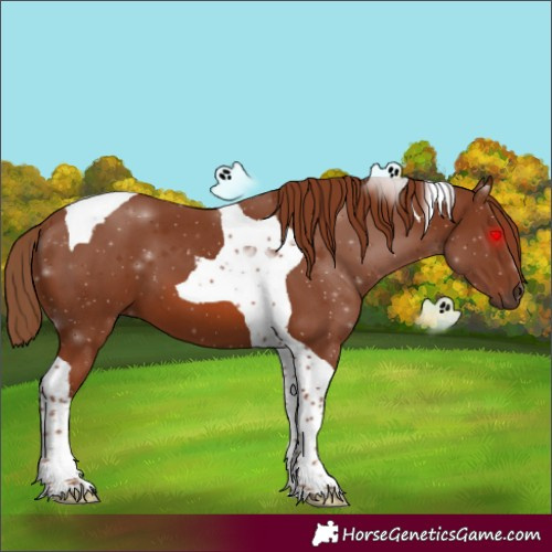Horse Color:Chestnut Tobiano