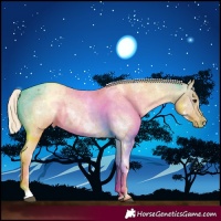Horse Color:White Spotted Red Roan Varnish 