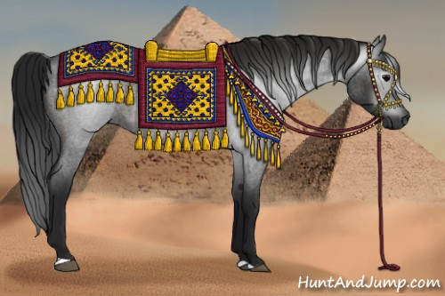 Horse Color:Gray Brown Roan