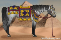 Horse Color:Gray Brown Roan 