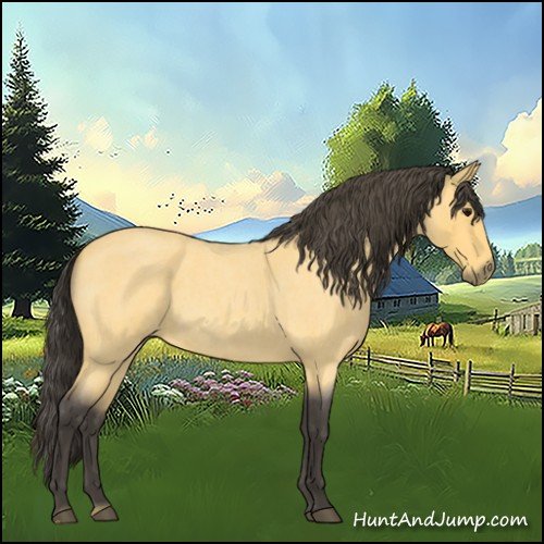 Horse Color:Buckskin Roan 