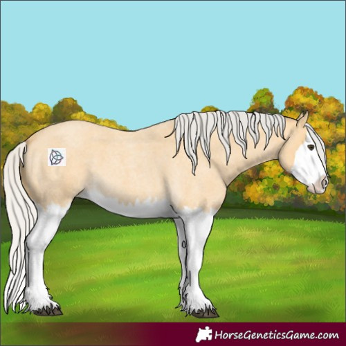 Horse Color:Silver Buckskin Roan Splash 