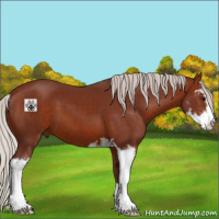 Horse Color:Chocolate Silver Brown Sabino