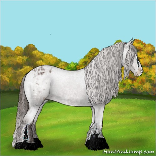 Horse Color:Liver Chestnut Ice Sabino Varnish 