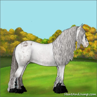 Horse Color:Liver Chestnut Ice Sabino Appaloosa 