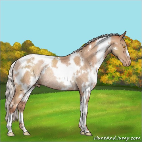 Horse Color:White Spotted Silver Classic Champagne Varnish Rabicano