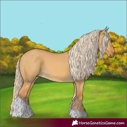 Horse Color:Palomino Dun Tobiano 
