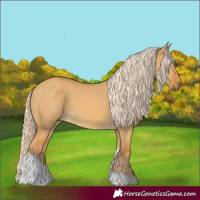 Horse Color:Palomino Dun Tobiano 