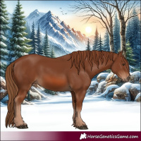 Horse Color:Chestnut 