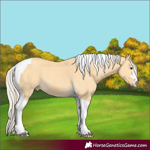 Horse Color:Silver Buckskin Dun Tobiano 