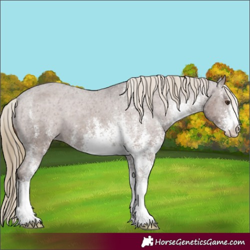Horse Color:White Spotted Liver Chestnut Varnish 