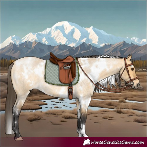 Horse Color:White Spotted Buckskin Roan Dun 