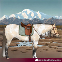 Horse Color:White Spotted Buckskin Roan Dun 