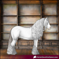 Horse Color:Black Splash Varnish 