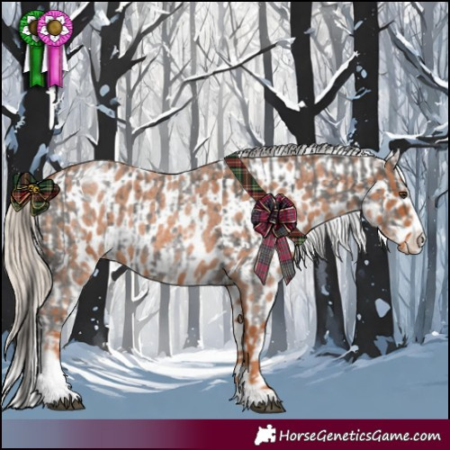 Horse Color:White Spotted Liver Chestnut Sabino  and Red Roan Appaloosa 