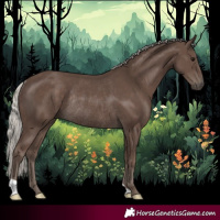 Horse Color:Silver Black Rabicano