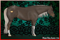 Horse Color:Silver Smoky Black Sabino Tobiano 