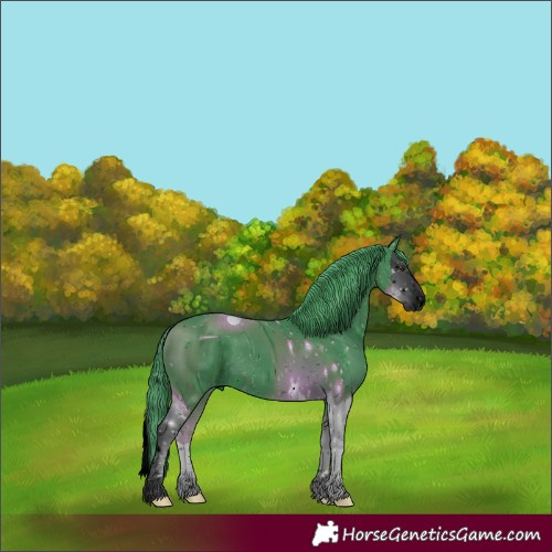 Horse Color:ERROR: UNKNOWN ANOMALY