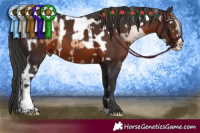 Horse Color:Liver Chestnut Pearl Sabino Splash Tobiano  and Bay Sabino Splash Rabicano 