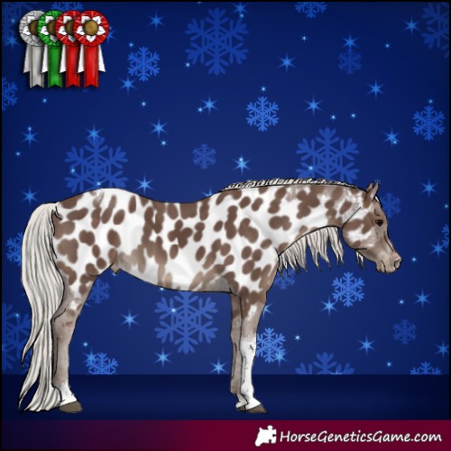 Horse Color:Silver Black Tobiano Near Leopard 