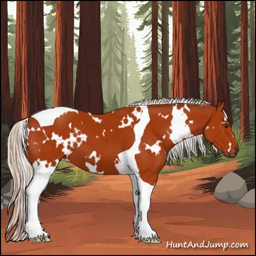 Horse Color:White Spotted Silver Bay Tobiano 