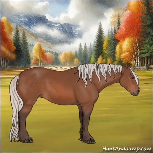 Horse Color:Silver Bay 
