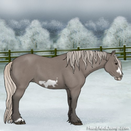Horse Color:Silver Blue Roan Frame