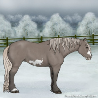 Horse Color:Silver Blue Roan Frame 