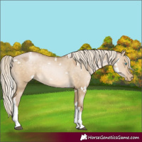 Horse Color:White Spotted Chocolate Palomino Pearl Dun Mushroom 