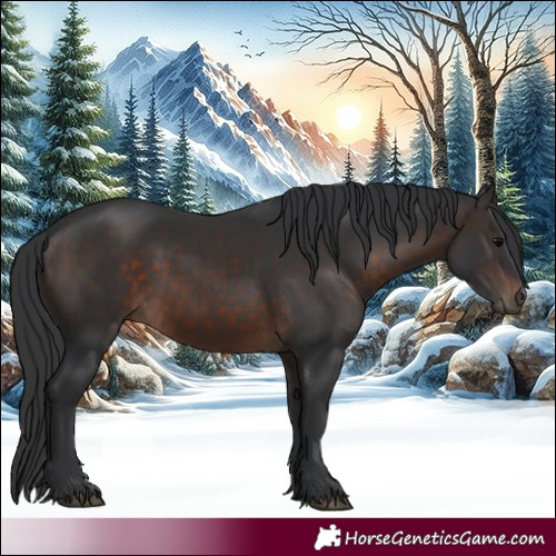 Horse Color:Brown 