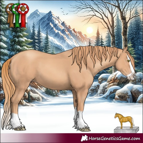 Horse Color:Gold Champagne Splash 