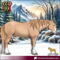Horse Color:Gold Champagne Splash 