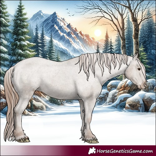 Horse Color:Classic Champagne Appaloosa Rabicano 