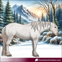 Horse Color:Classic Champagne Appaloosa Rabicano 