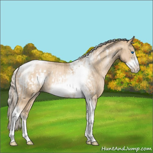 Horse Color:Chocolate Palomino Pearl Tobiano Frame  and Palomino Pearl Tobiano Frame 