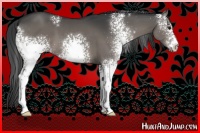 Horse Color:White Spotted Black 