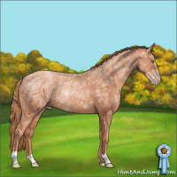 Horse Color:Gold Champagne Ice 