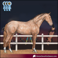 Horse Color:Gold Champagne Ice 