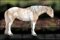 Horse Color:Chocolate Palomino Pearl Tobiano Frame  and Chocolate Palomino Pearl Tobiano Frame 