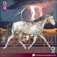 Horse Color:Buckskin Dun Mushroom Splash Tobiano Snowcap 