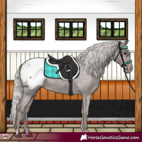 Horse Color:Silver Black Snowcap