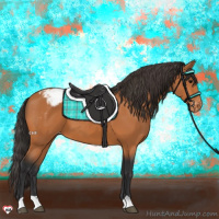 Horse Color:Bay Appaloosa 