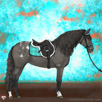 Horse Color:Grullo Near Leopard 