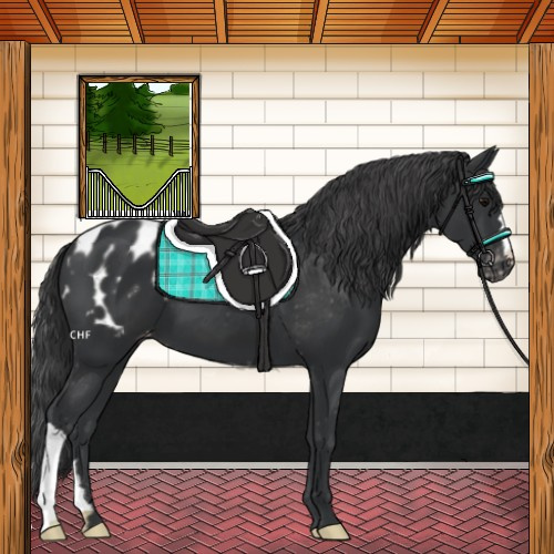 Horse Color:Black Blanket